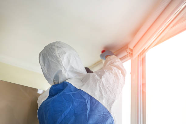 Professional Mold Removal & Remediation in Kenneth City, FL