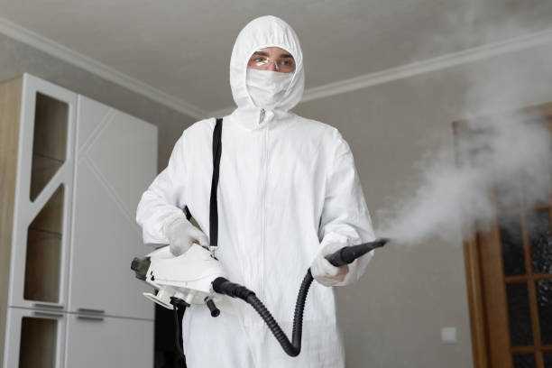  Kenneth City, FL Mold Removal & Remediation Pros